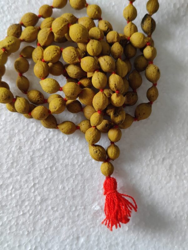 Putra Jiva Mala